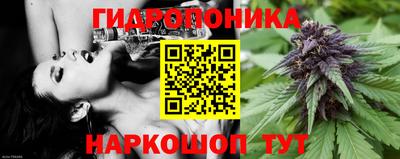 дживик Будённовск