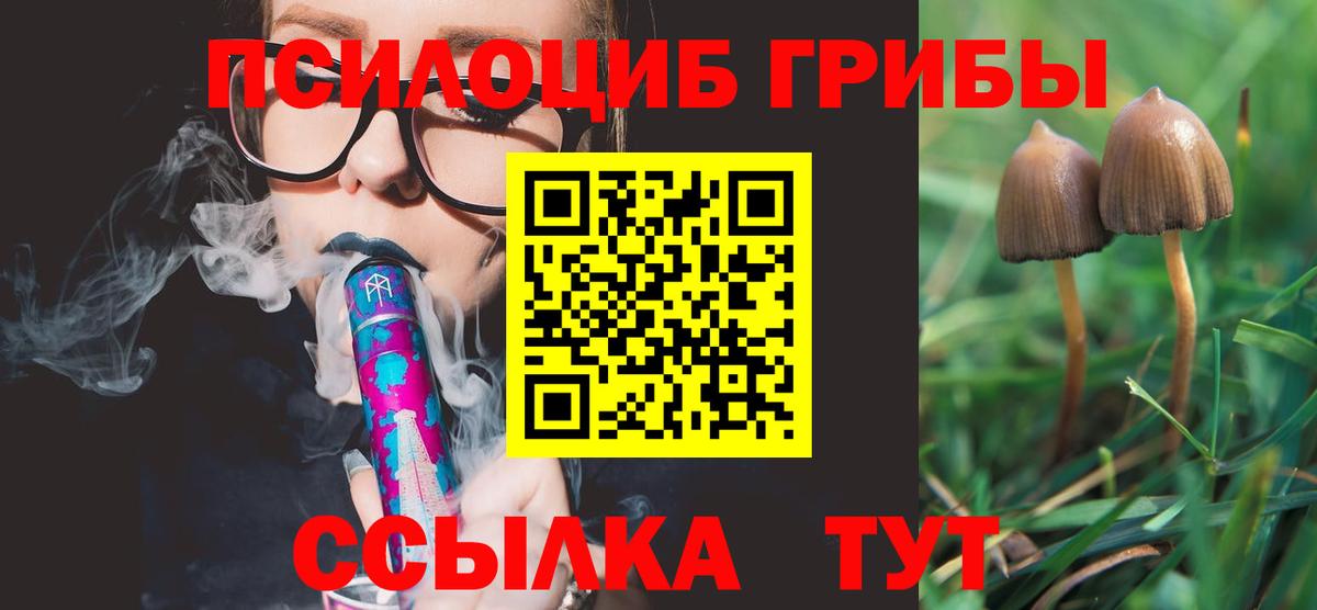 Псилоцибиновые грибы GOLDEN TEACHER  Вход с VPN  наркота  Галлюциногенные грибы Magic Shrooms  Феодосия 